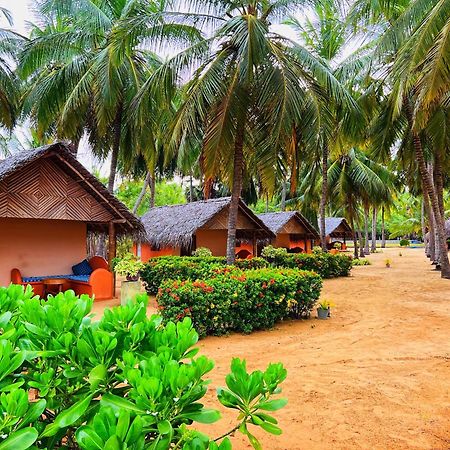 Roshanne Beach Resort Калпития Экстерьер фото