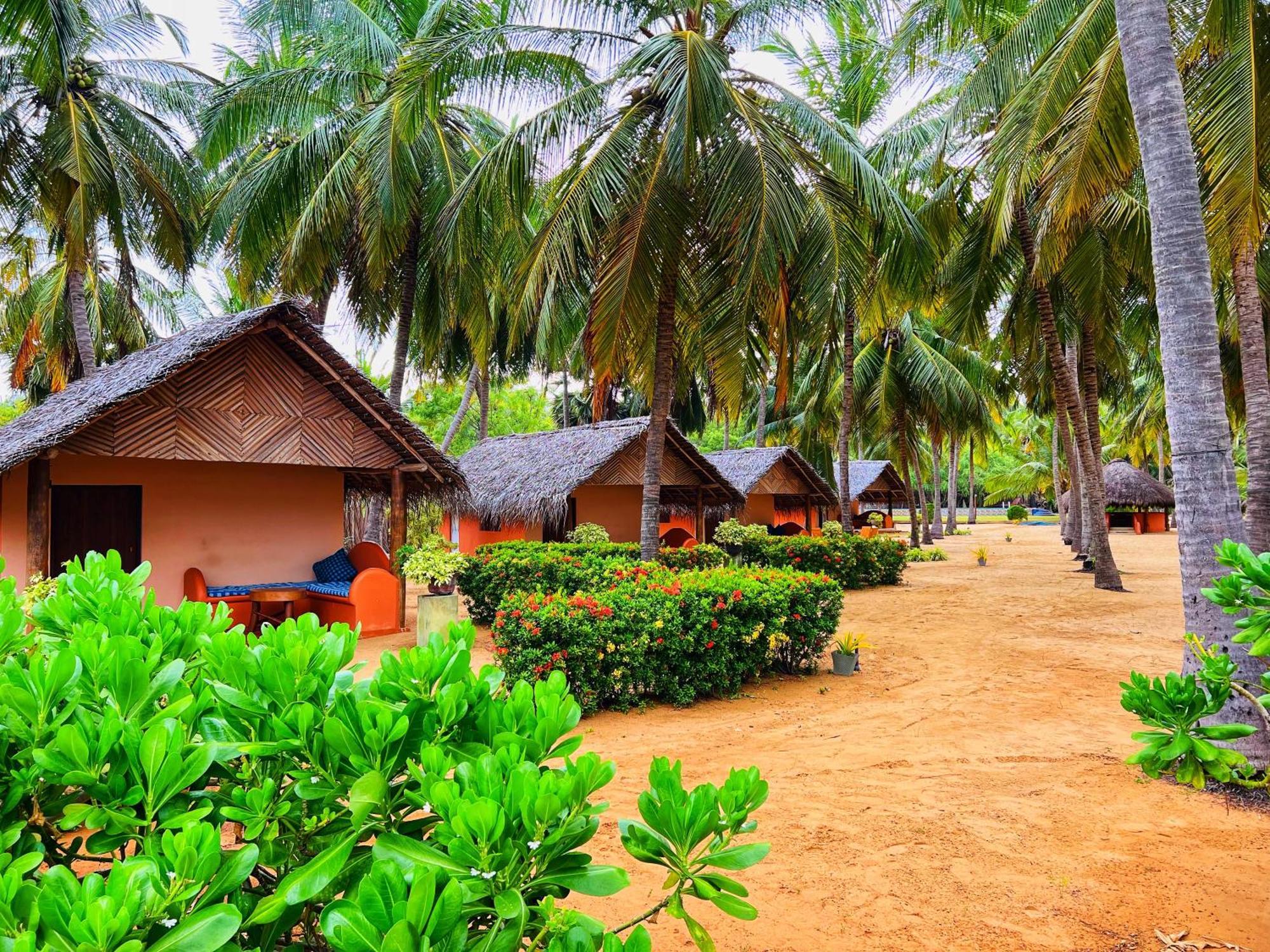 Roshanne Beach Resort Калпития Экстерьер фото