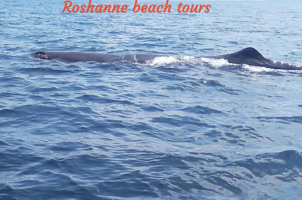 Roshanne Beach Resort Калпития Экстерьер фото